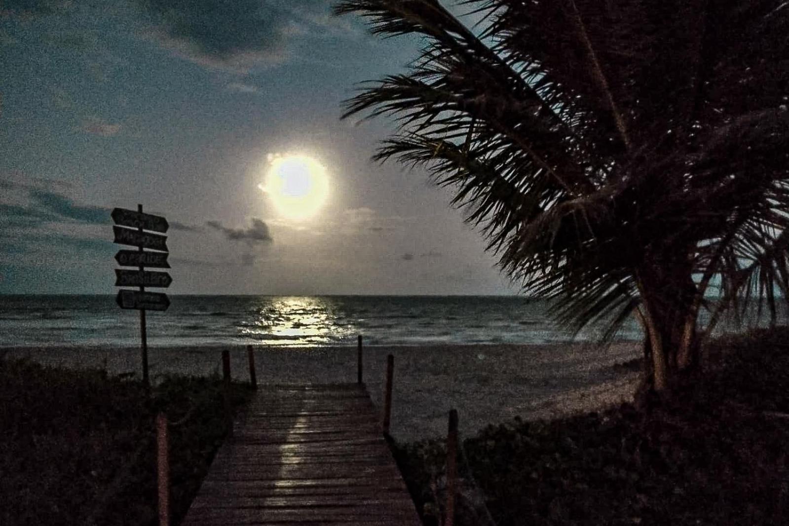 Xareu Flats: Aluguel De Temporada A Beira-Mar! Appartement Maragogi Buitenkant foto